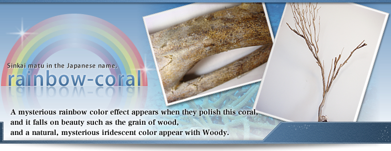 A mysterious rainbow color effect appears when they polish this coral, 
and it falls on beauty such as the grain of wood, 
and a natural, mysterious iridescent color appear with Woody.